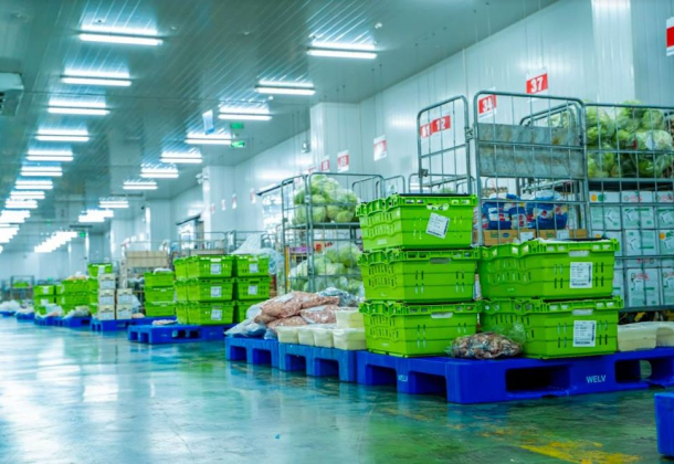 THỊ TRƯỜNG KHO LẠNH DỰ KIẾN ĐẠT 295 TRIỆU USD NĂM 2025